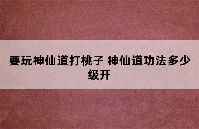 要玩神仙道打桃子 神仙道功法多少级开